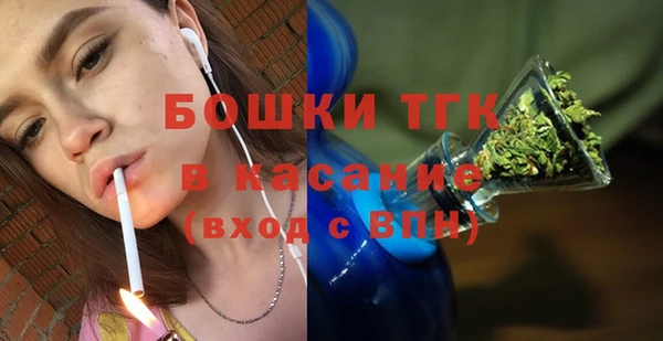 дживик Богородск