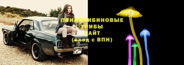 крисы Богородицк