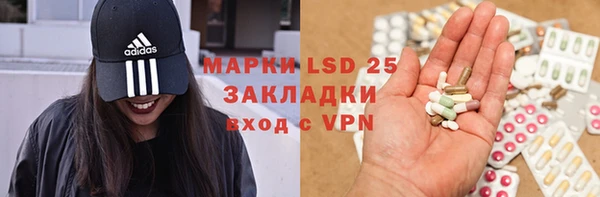 крисы Богородицк