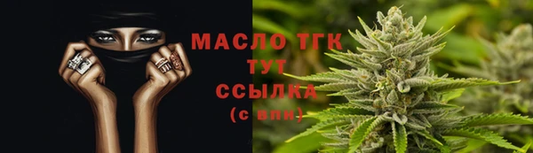 дживик Богородск