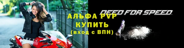 дживик Богородск