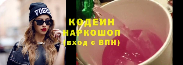 крисы Богородицк
