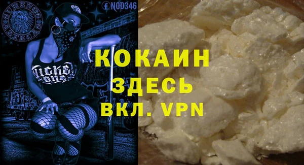крисы Богородицк