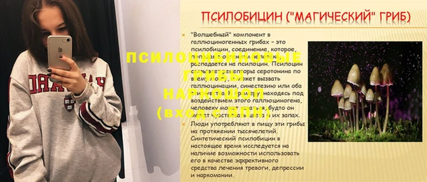 крисы Богородицк