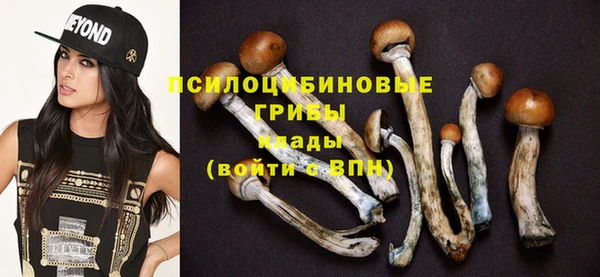 дживик Богородск