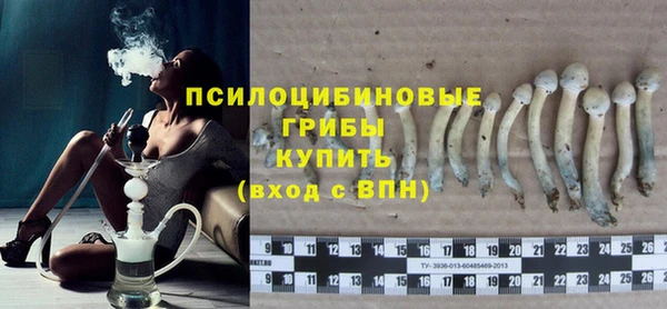 дживик Богородск