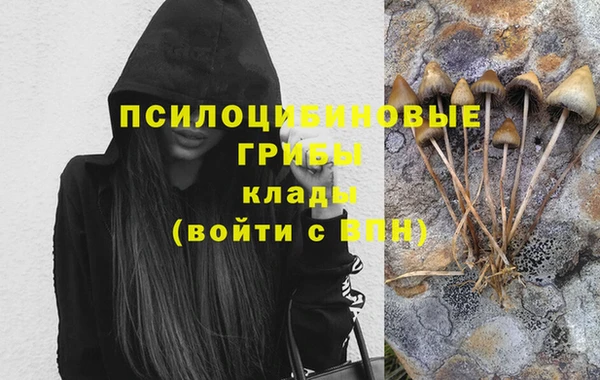 COCAINE Богданович